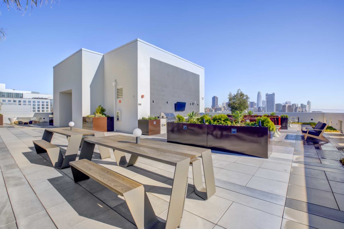 Photos and Video of Vance in San Francisco, CA